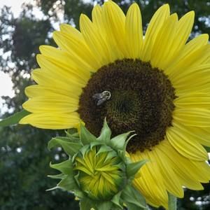 Meet your Posher, Janice